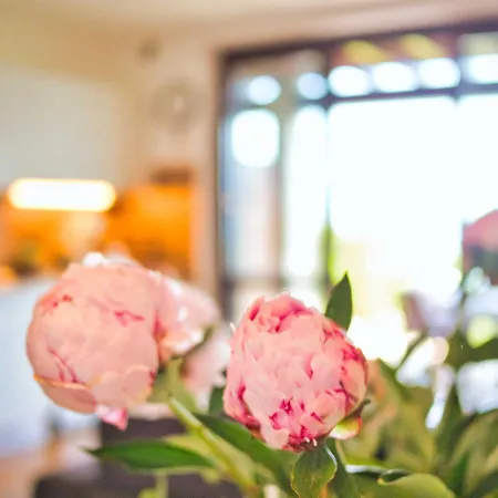 شقة Marta Flat, Mountain And View, Bellagio Civenna