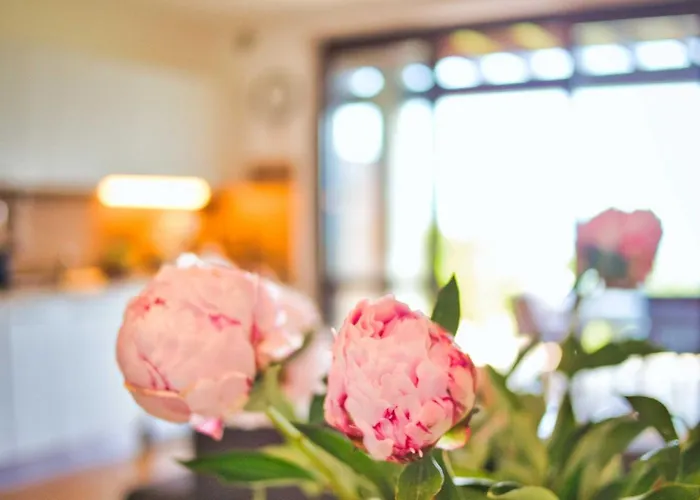 公寓 Marta Flat, Mountain And View, Bellagio 奇文纳
